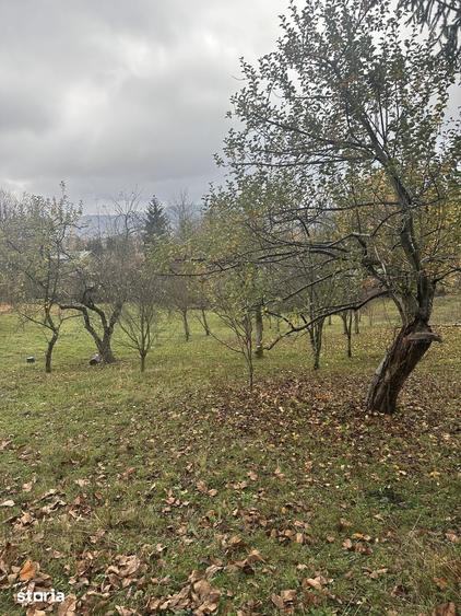 Teren de 1800 mp, în Cornu
