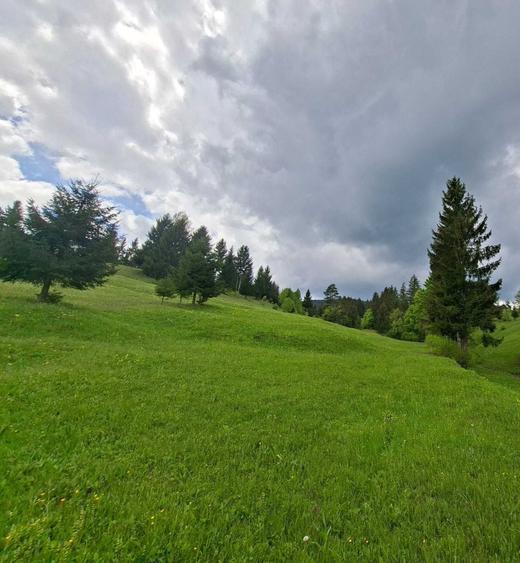 Teren de 23330 mp, în Ciugheș