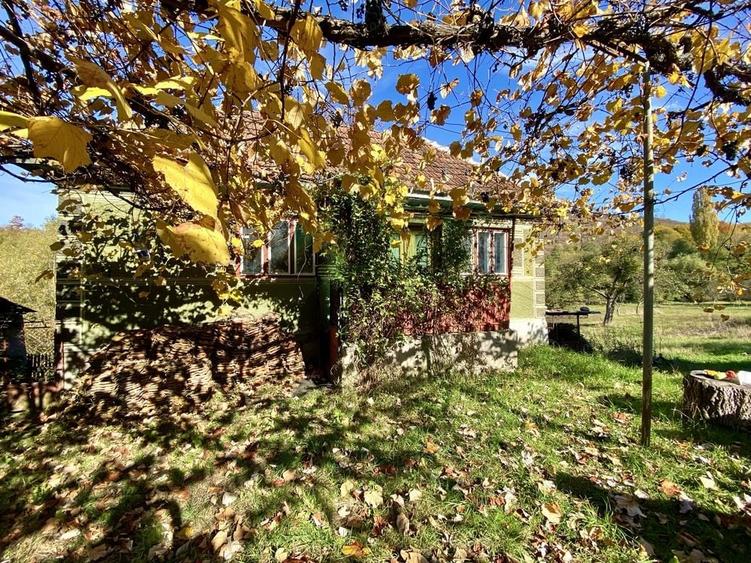 Casă cu 4 camere cu Teren 3400 Mp în Cornițel