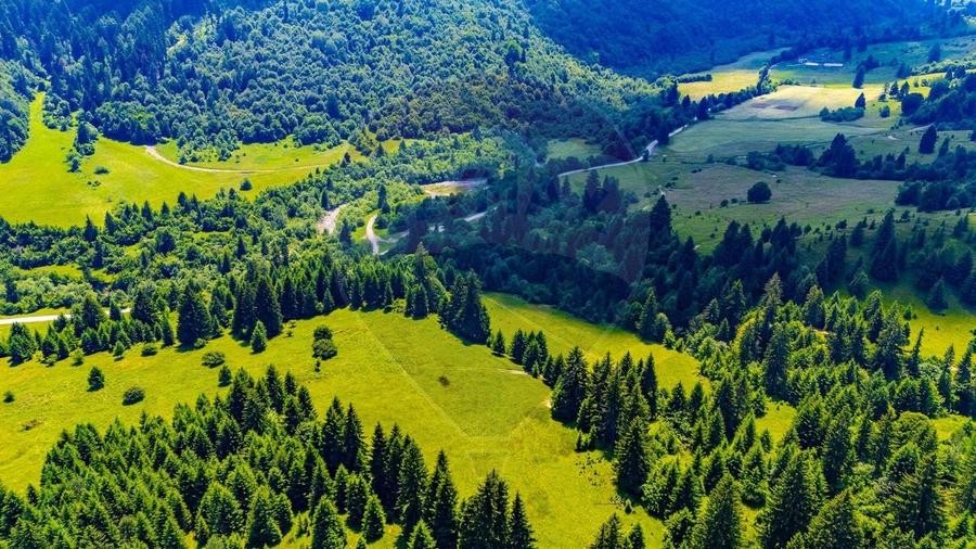 Teren Construcții intravilan de 18900 mp, în Brădet