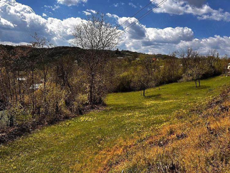 Teren de 2350 mp, în Surani
