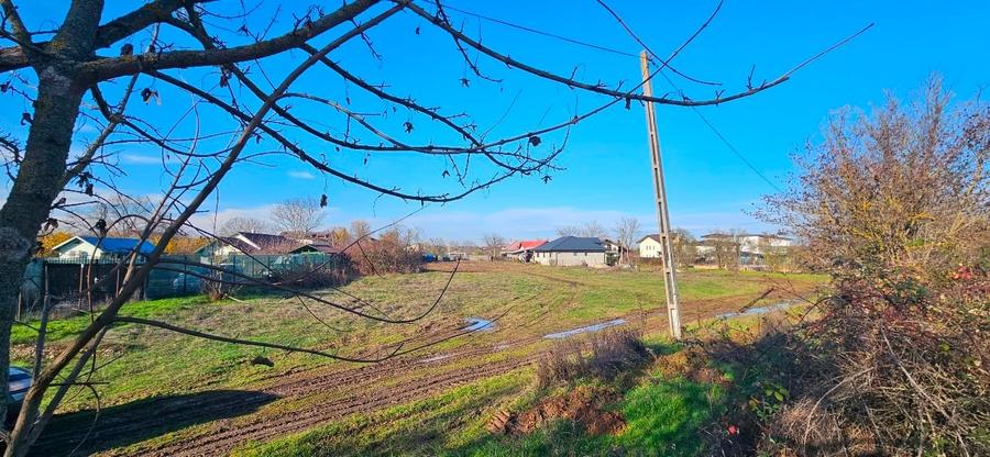 Teren Construcții intravilan de 3565 mp, în Snagov