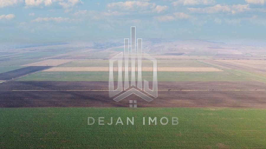 Teren agricol extravilan de 50000 mp, în Moacșa