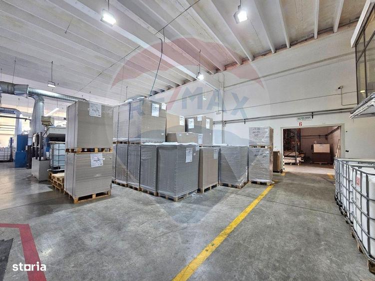 Hale Industriale 5065 mp de vanzare Str. Bradului - Bacau - 14