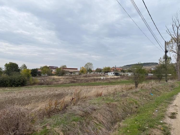Teren agricol extravilan de 8665 mp, în Filiași
