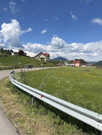 Teren de 8468 mp, în Poiana Negrii