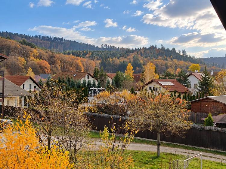 Apartament cu 2 camere semidecomandat în Cristian