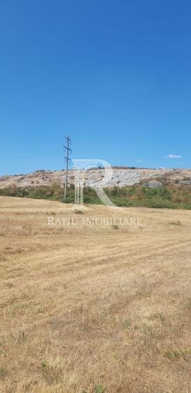 Teren agricol extravilan de 7935 mp, în Betfia
