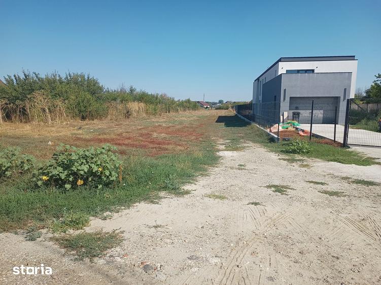 DE VANZARE TEREN INTRAVILAN 4000 (2000) MP LOC.1 DECEMBRIE (ILFOV) - 9