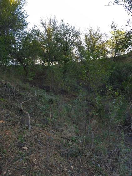 Casă cu 4 camere cu Teren 8000 Mp în Pruni