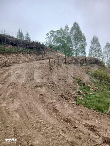 Teren de 7500 mp, în Central