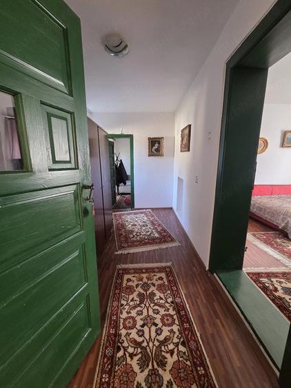 Casă cu Teren 1600 Mp în Viișoara