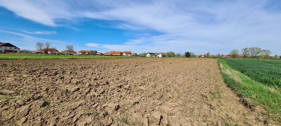 Teren agricol extravilan de 2100 mp, în Reci