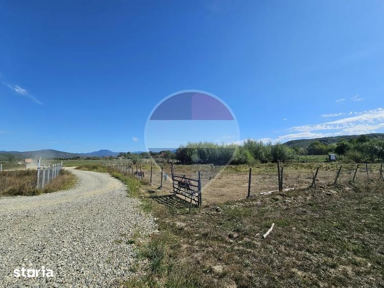 Teren de 3000 mp, în Bocicoiu Mare