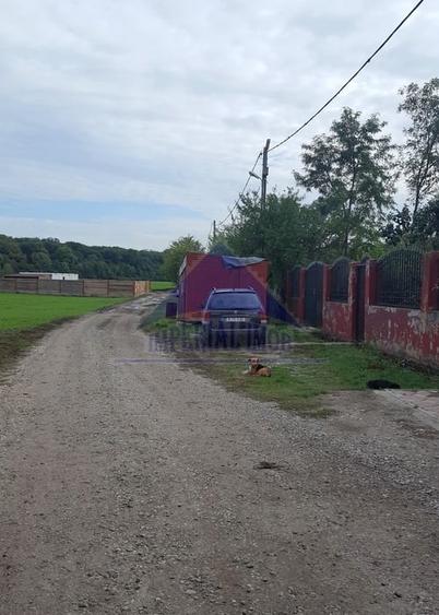 Teren Construcții intravilan de 1000 mp, în Dascălu
