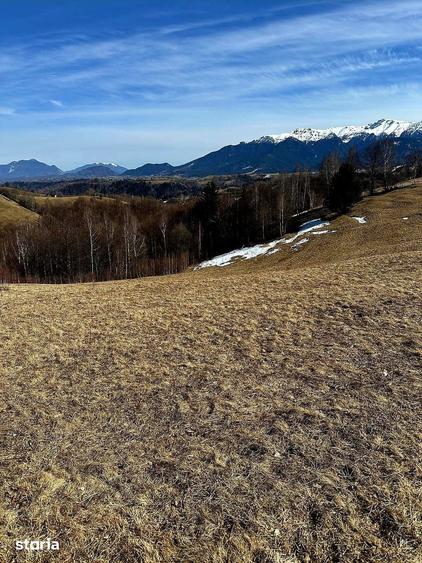 Sat Pe?tera Moeciu | Vedere panoramica Bucegi & Piatra Craiului - 8