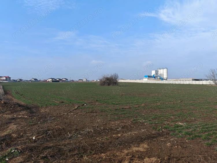 Teren de 31200 mp, în Dragomirești-Deal