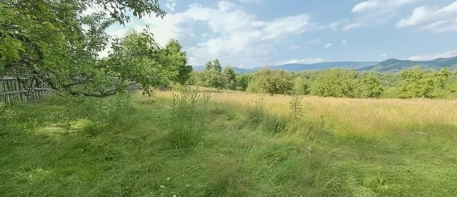 Teren de 18300 mp, în Bughea de Sus