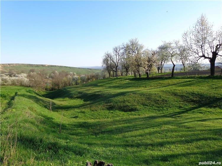 Casă cu 5 camere cu Teren 3000 Mp în Lespezi