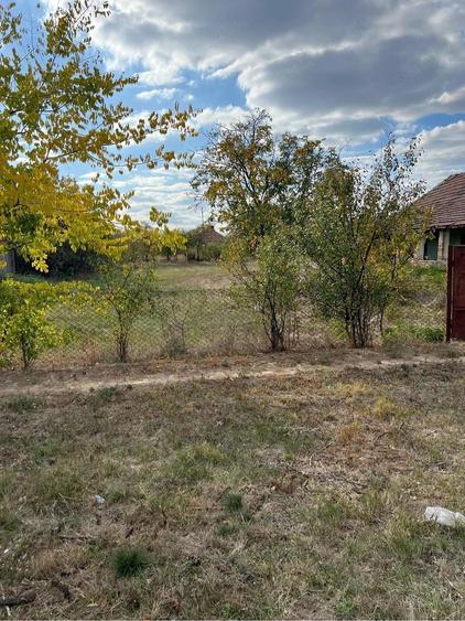 Casă cu Teren 800 Mp în Hodoni