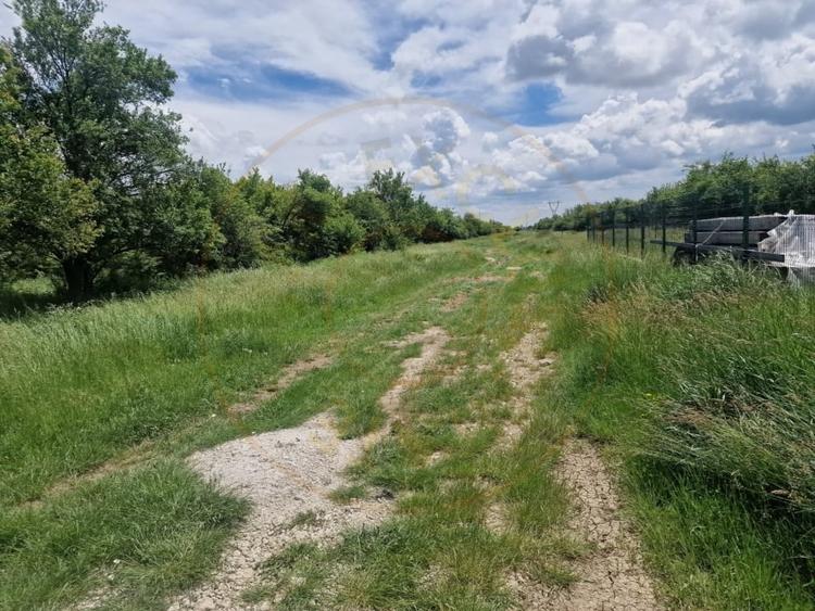 Teren Construcții intravilan de 3006 mp, în Smeura