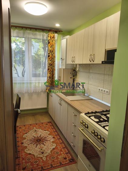 Apartament cu 2 camere în Săsar