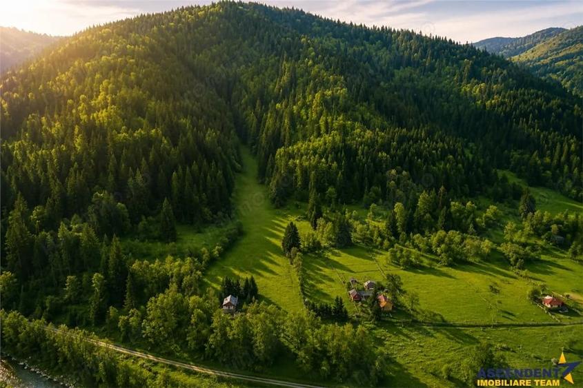 Teren de 7800 mp, în Lunca