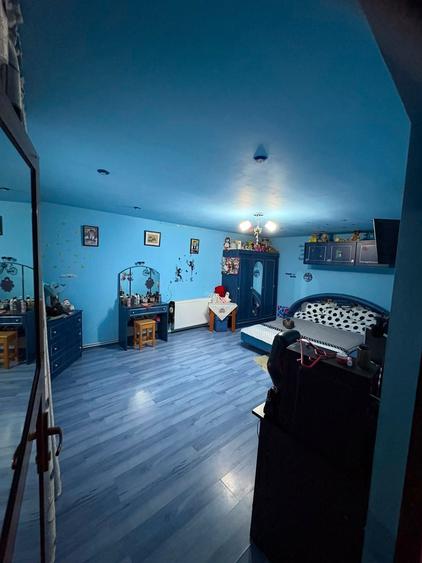 Casa Mircea Voda - 3