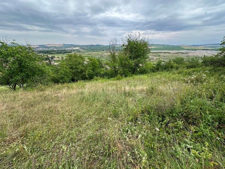 Casă individuală cu 4 camere cu Teren 7567 Mp în Central