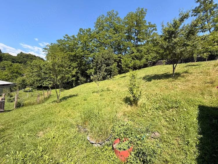 Casă cu 2 camere cu Teren 720 Mp în Dărmăneasca