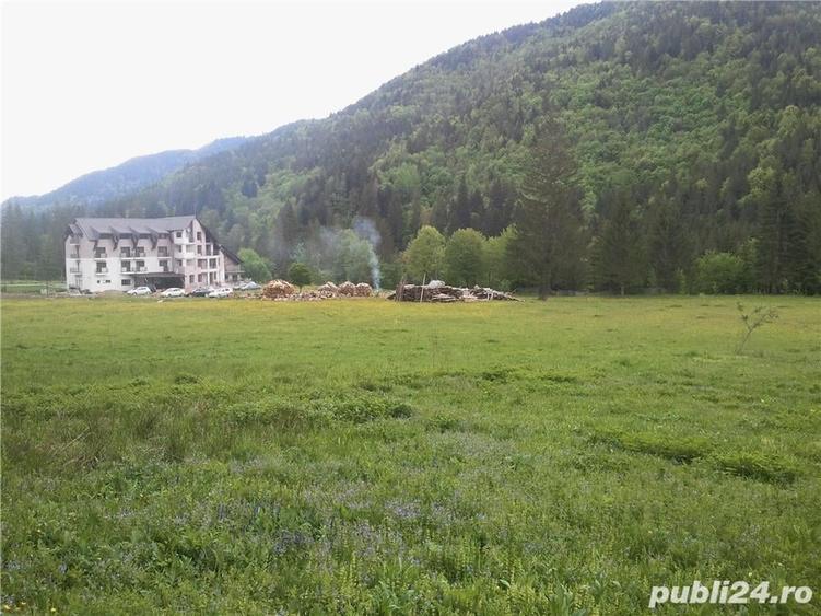 Teren de 5000 mp, în Brateș