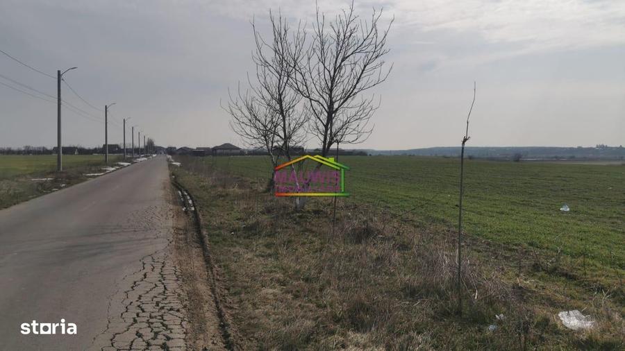 Spațiu comercial, în Tânganu