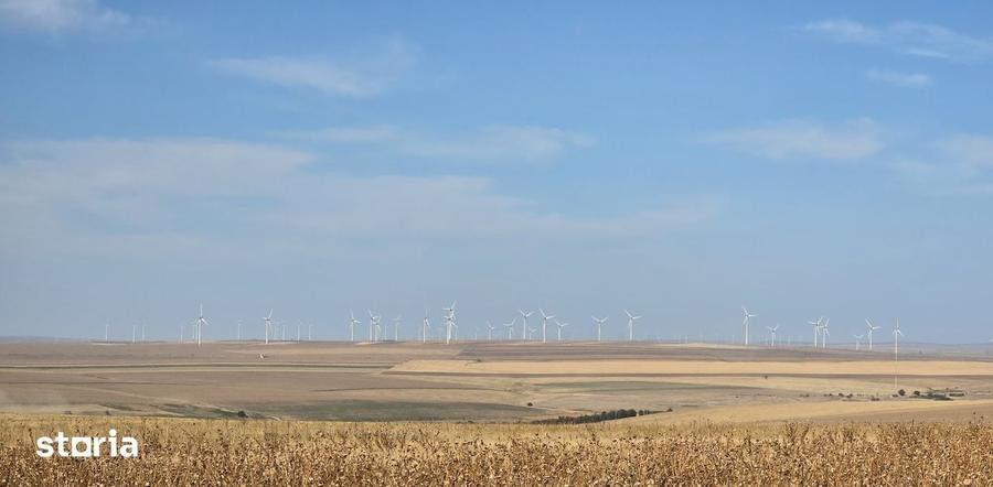Teren de 590000 mp, în Saraiu