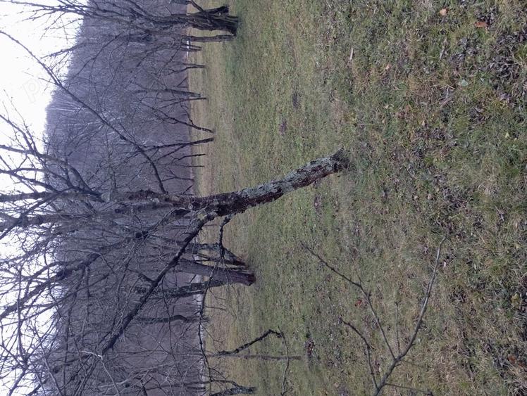 Teren de 2000 mp, în Ocina de Sus