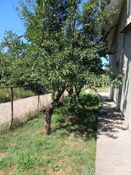 Casă individuală cu 3 camere cu Teren 2100 Mp în Ciurea