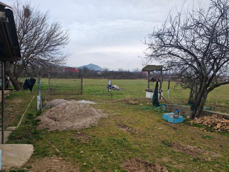 Casă bătrânească + Teren generos 4.208 mp – Cerna, Tulcea (Toate utilitățile) - 10