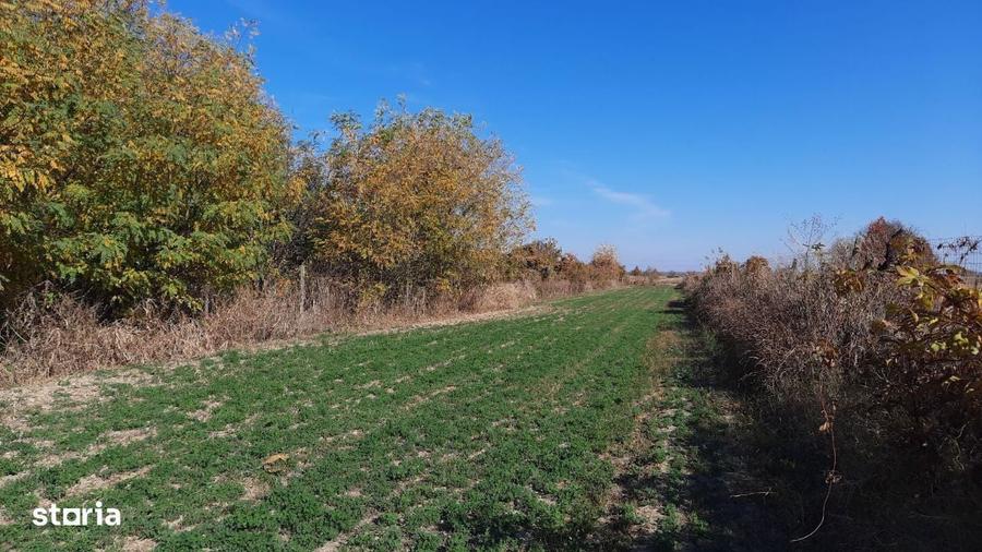 Vand proprietate in sat Bratesti, com. Sirna, jud. Prahova - 11
