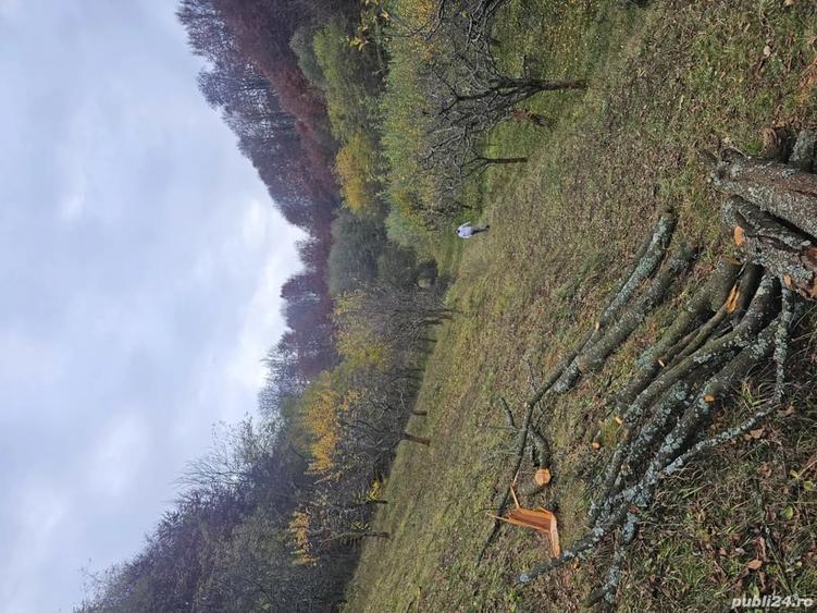 Casă cu 4 camere în Văleni-Dâmbovița
