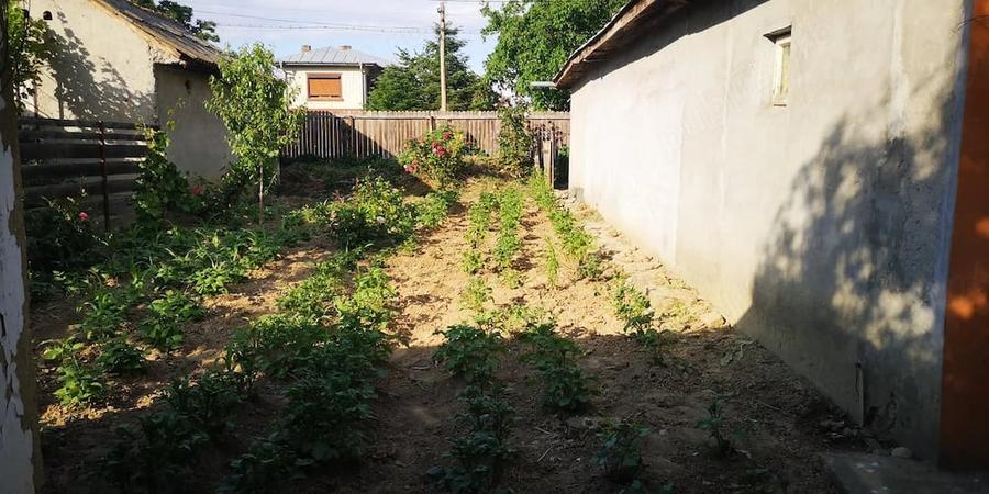 Casă cu 3 camere cu Teren 457 Mp în Central