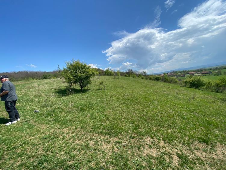 Teren de 146100 mp, în Hălmeag
