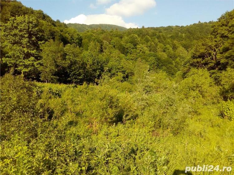 Teren de 6000 mp, în Crasna