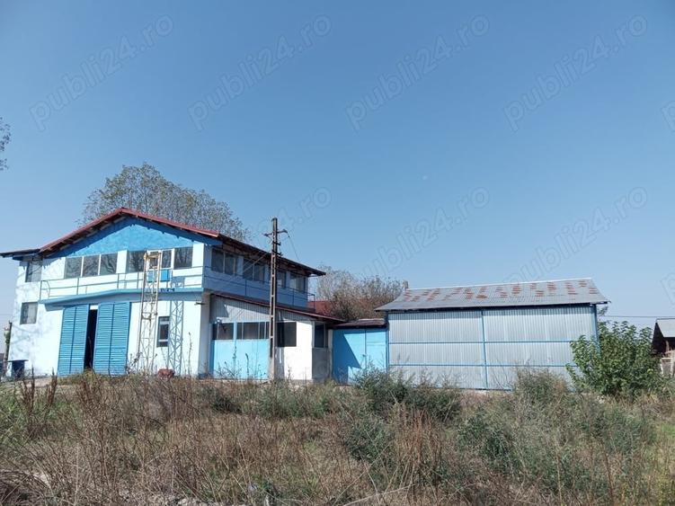 Teren de 2500 mp, în Tismana