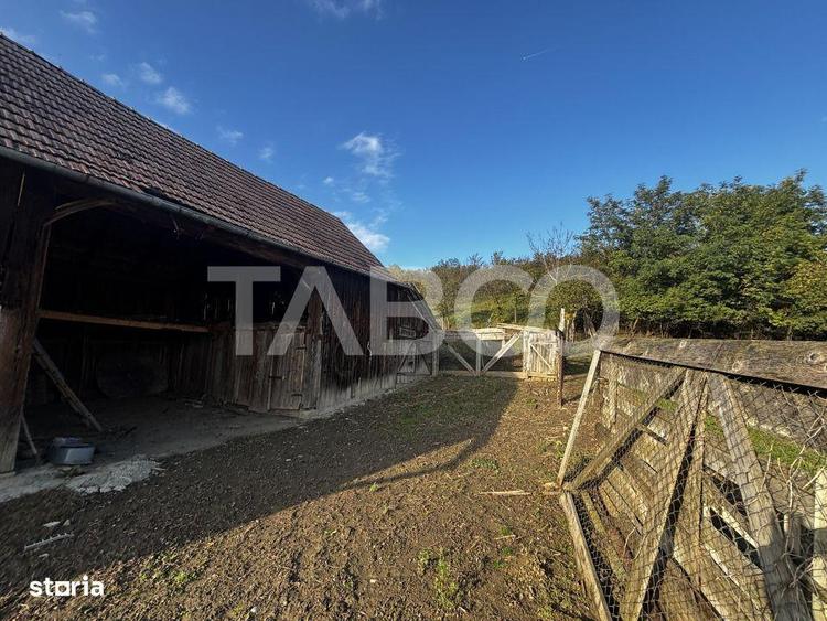 Exclusivitate comision 0% casa cu sura si anexe teren 3700 mp Alamor - 2