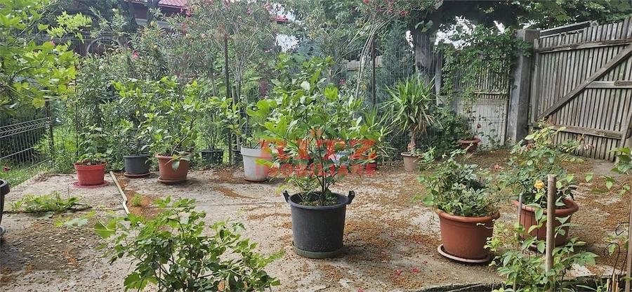 Casă cu 4 camere cu Teren 2300 Mp în Central