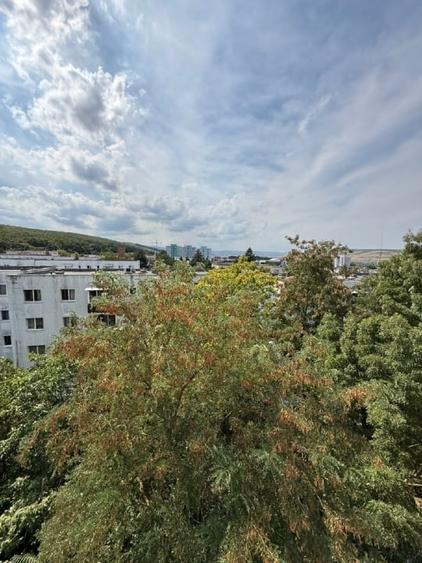 Apartament cu 3 camere decomandat, mobilat în Mănăștur