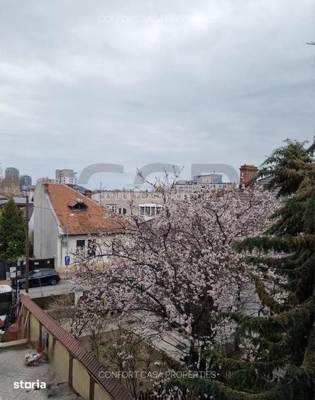 Timpuri Noi metrou, Splaiul Unirii , Vila P+2+M, NEMOBILATA, pretabila - 5