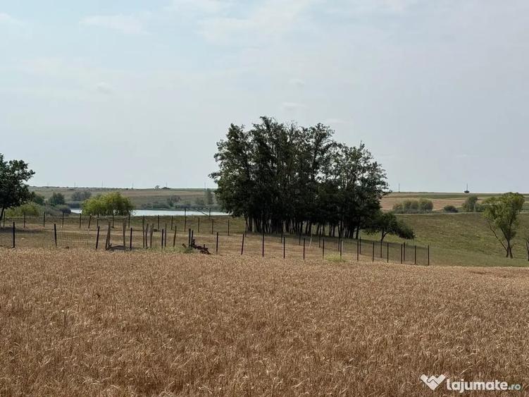 Teren intravilan Miersig, vedere la lac. 12,5 E/mp neg. C... - 15