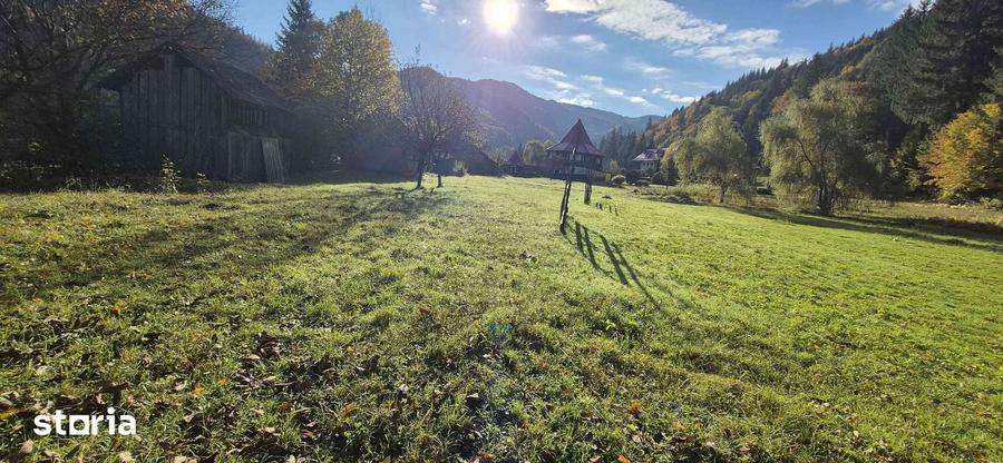 Teren de 4096 mp, în Tarcău