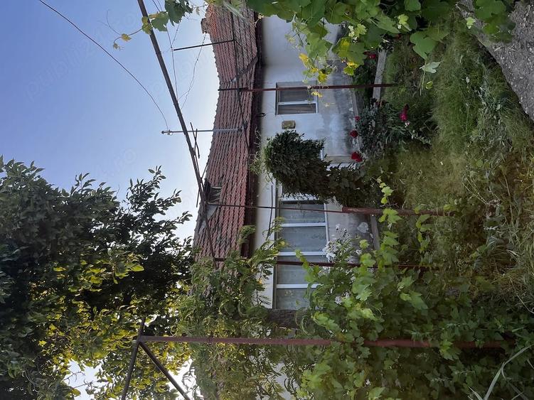 Casă cu Teren 1256 Mp în Manasia
