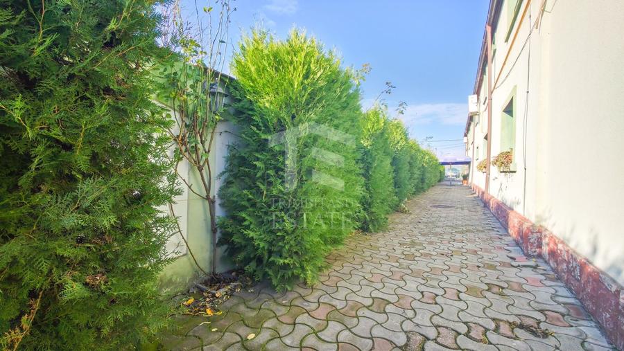 Proprietate specială, de 617 mp, în Alexandriei